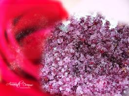 õ¹åÌǵÄ×ö·¨