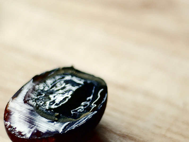 �����֮Ƥ������������