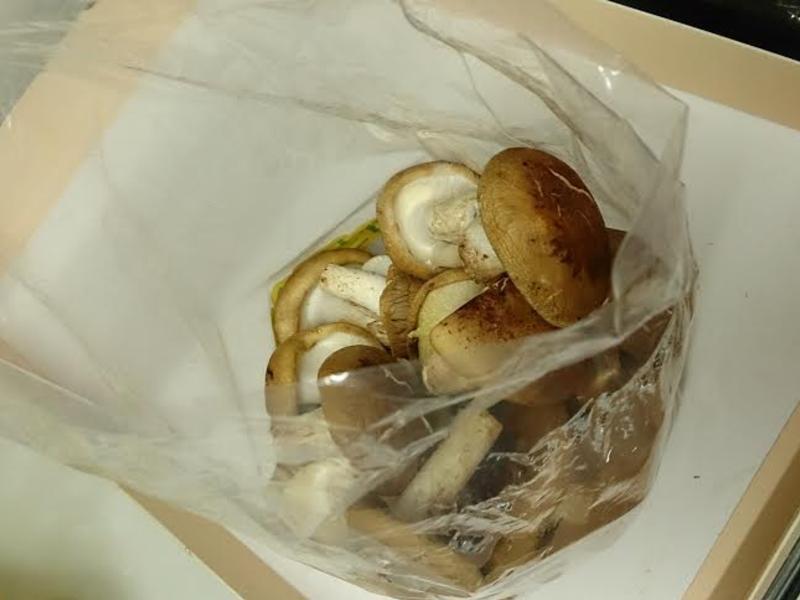 ���Ƹ��㹽������