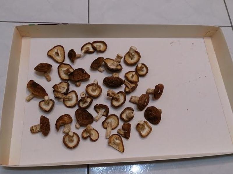 ���Ƹ��㹽������