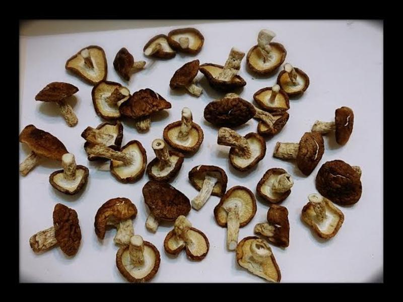 ���Ƹ��㹽������