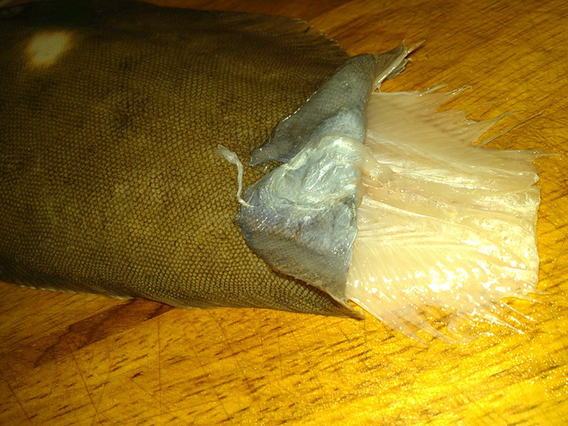 ��������ŵ�����