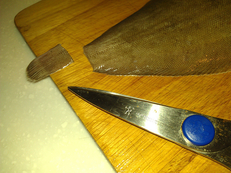 ��������ŵ�����