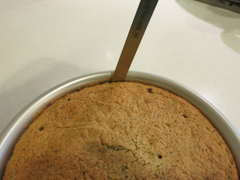 �����ݷ絰��~�����ƶ��Ŀڸе�����