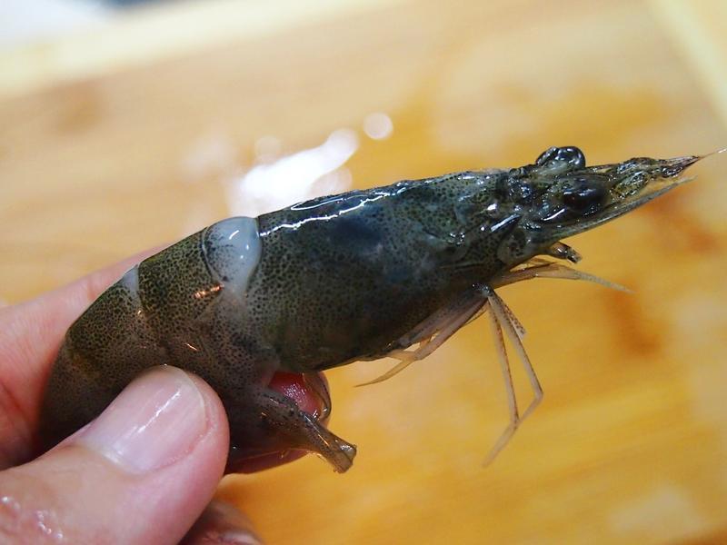 ������ζ��Ϻ������