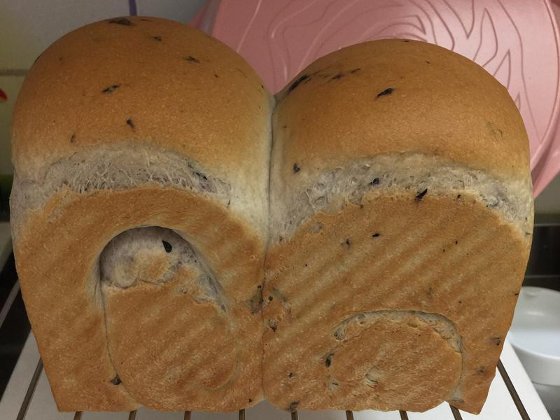 ��ݮţ����˾������