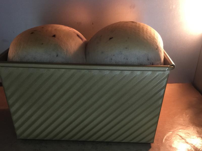 ��ݮţ����˾������