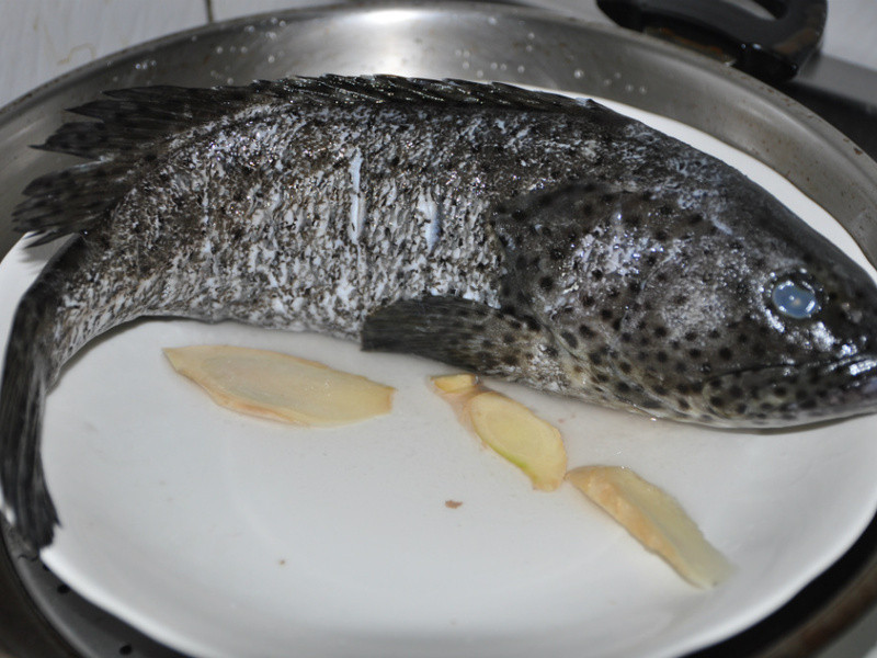 ��������ʯ�������