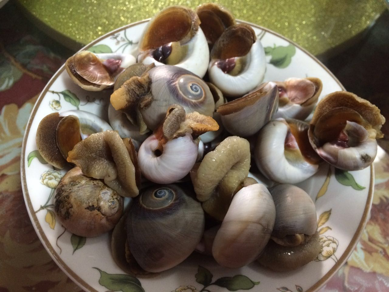 ��ˮ���ݵ�����