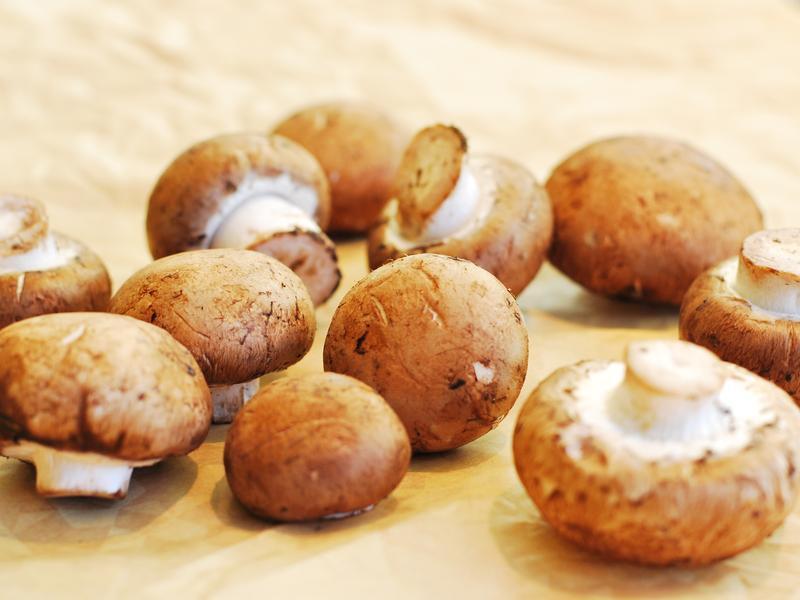 ����ʵ���ҡ�Ģ���㳦�̽������������