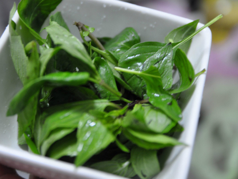 ������������Ƭ������