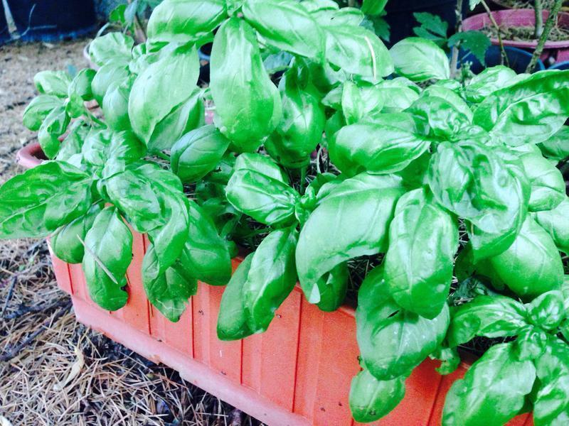 ����������ռ�������