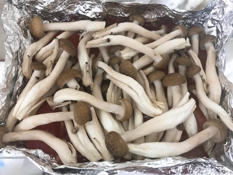 �h�����ѹ�����˾��������