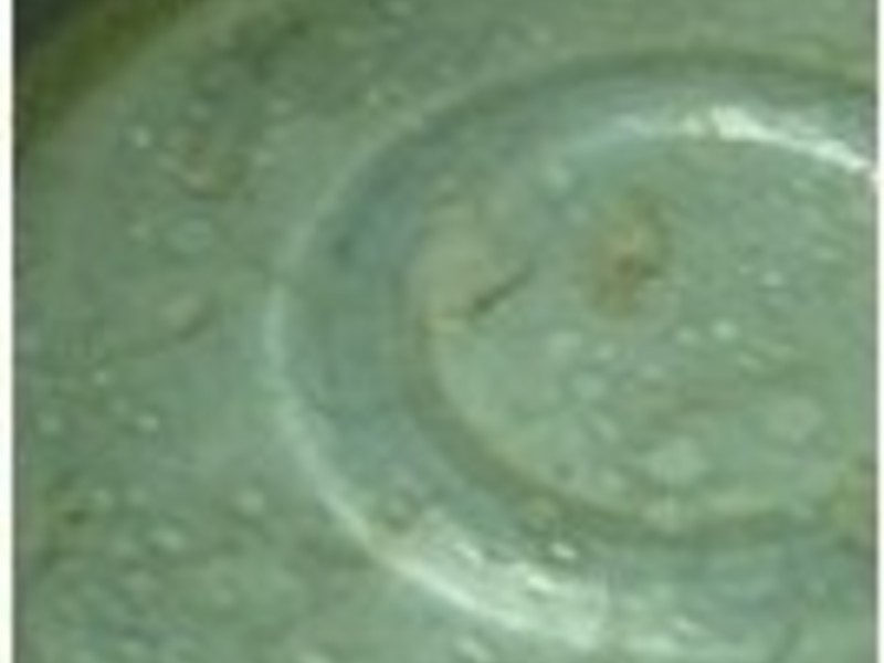 ���װ漦�ⷹ�����Ǵ�С�ƹϣ�������