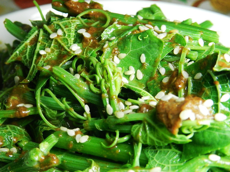 ֥�齴������˵�����