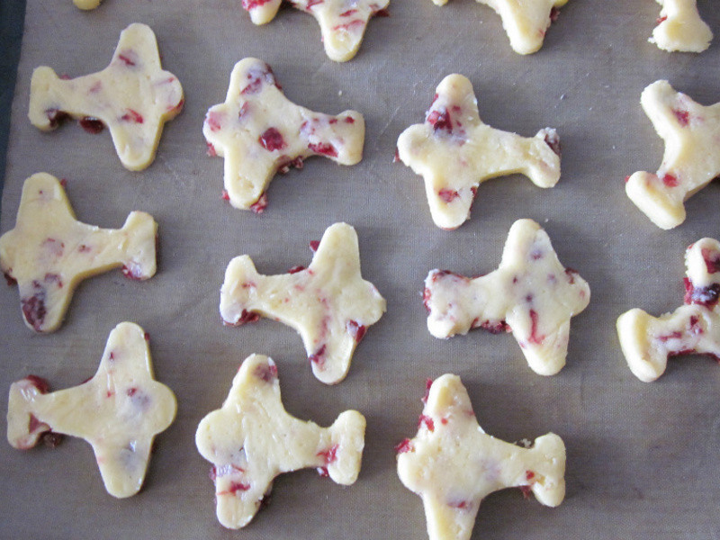 ��Խݮ�ɻ����ɵ�����