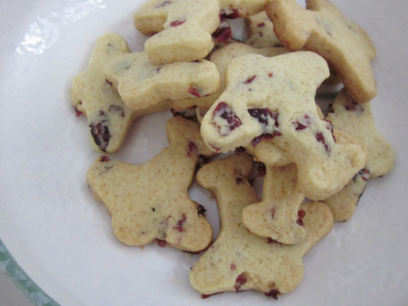 ��Խݮ�ɻ����ɵ�����