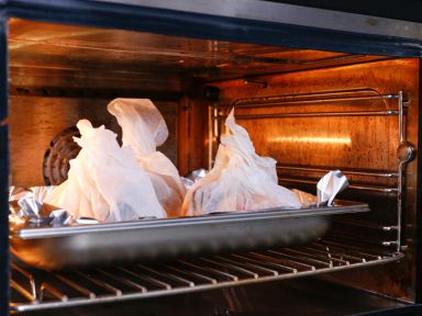 ֽ���������������