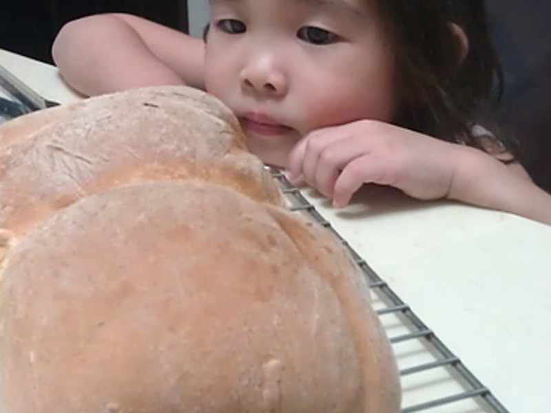 ɽ��ԭζ��˾��������ĵ��ġ�������