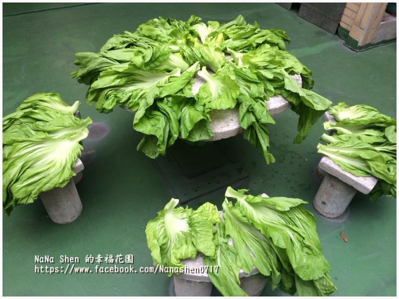 �ع��Z���ͼ���ˡ�������