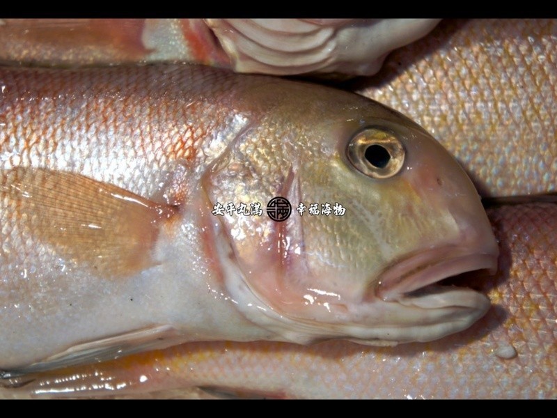 ���Ҹ����������ͷ�������