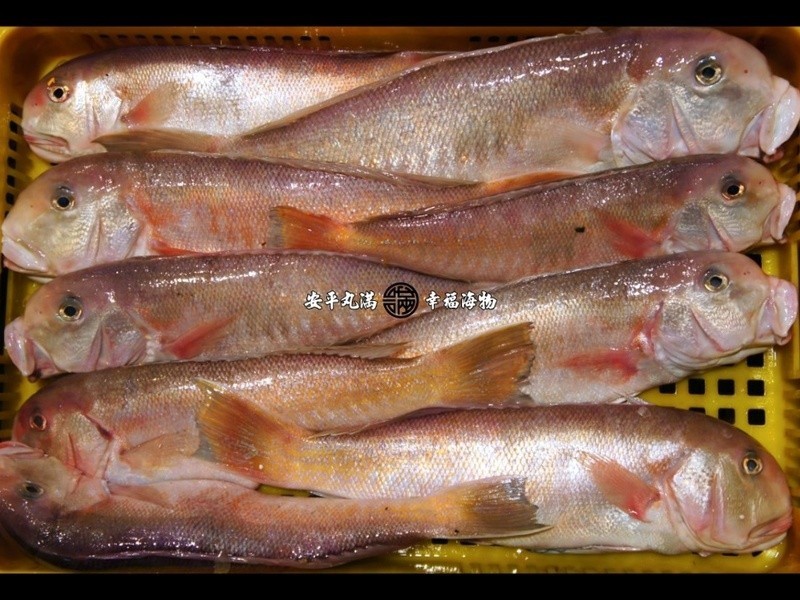 ���Ҹ����������ͷ�������