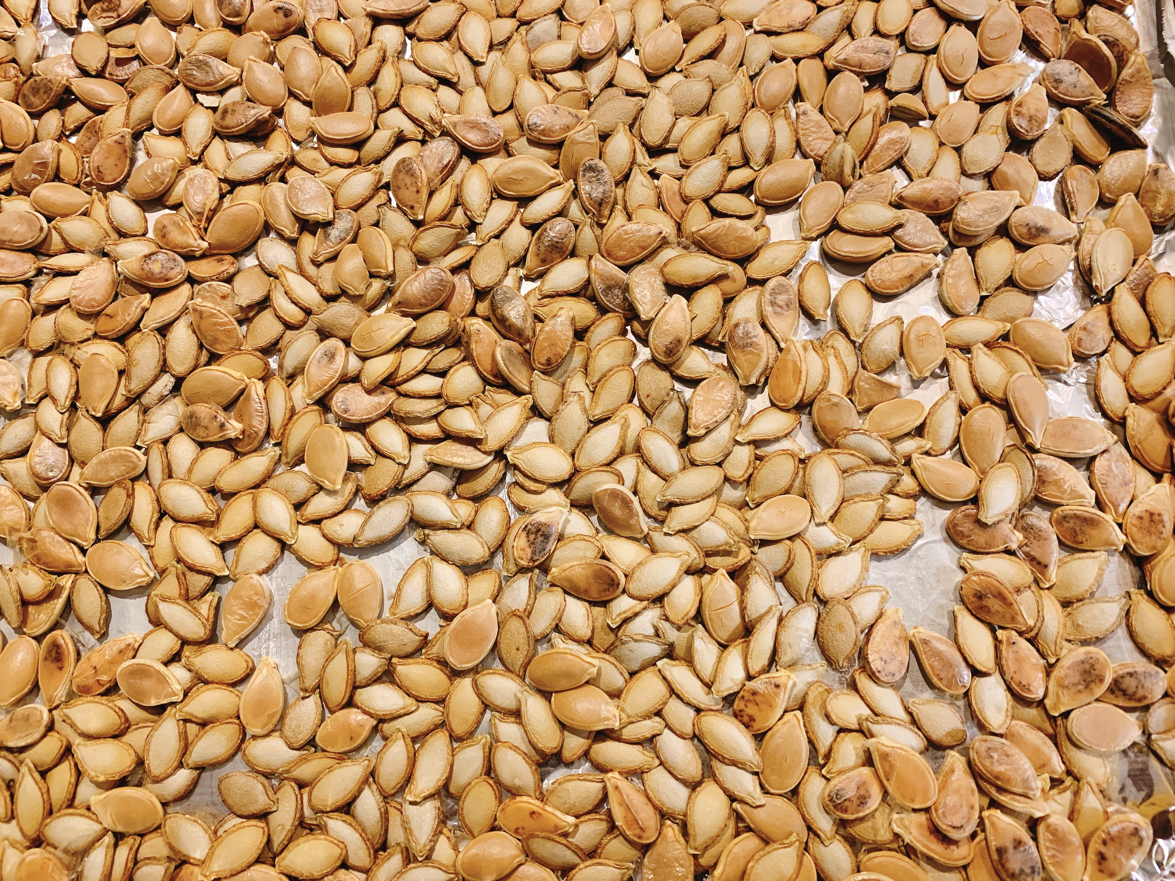 ���俾�Ϲ��ѵ�����