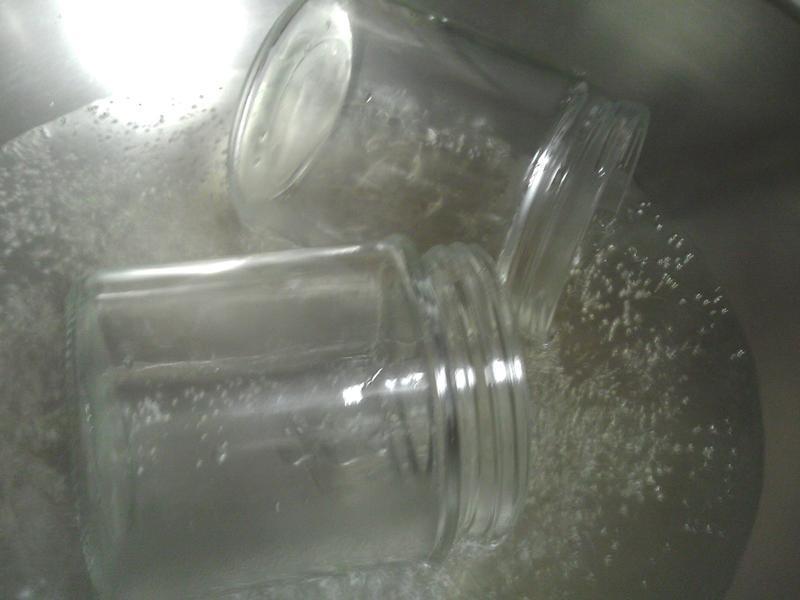 [���������]�������ȹ���������