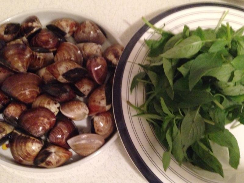 �Ų��������á�by����˿��������