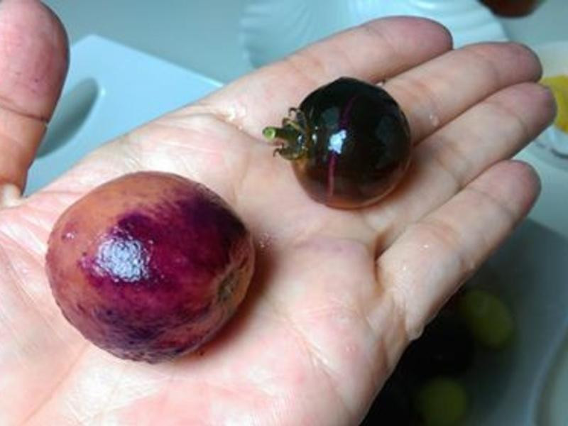 ÷���ʹ�������