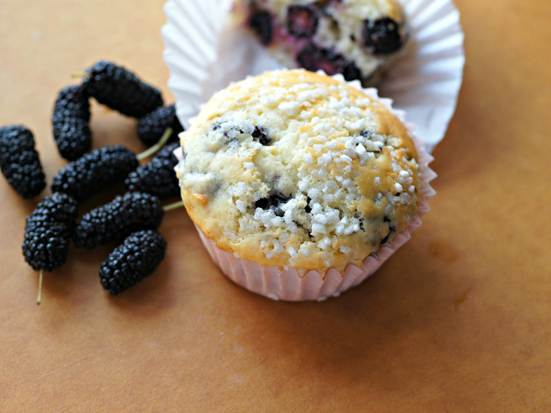 ɣ��Ÿ���ҵ�����