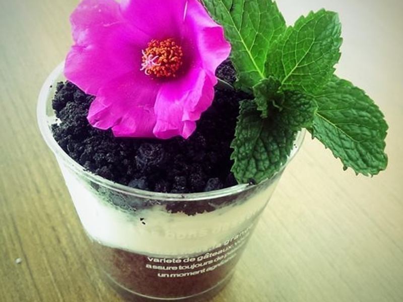 ���Ա����յ��������