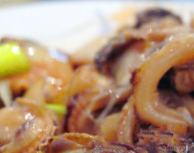 �����ӵ�����