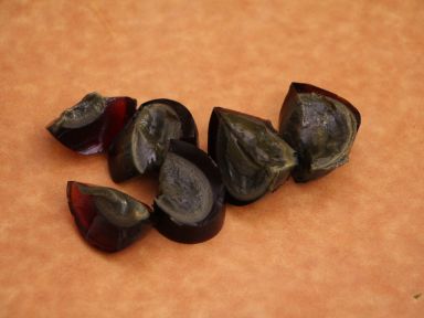 ��������Ƥ����������