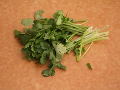 ��������Ƥ����������