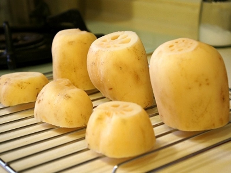 ��С��ͤ��������ź������