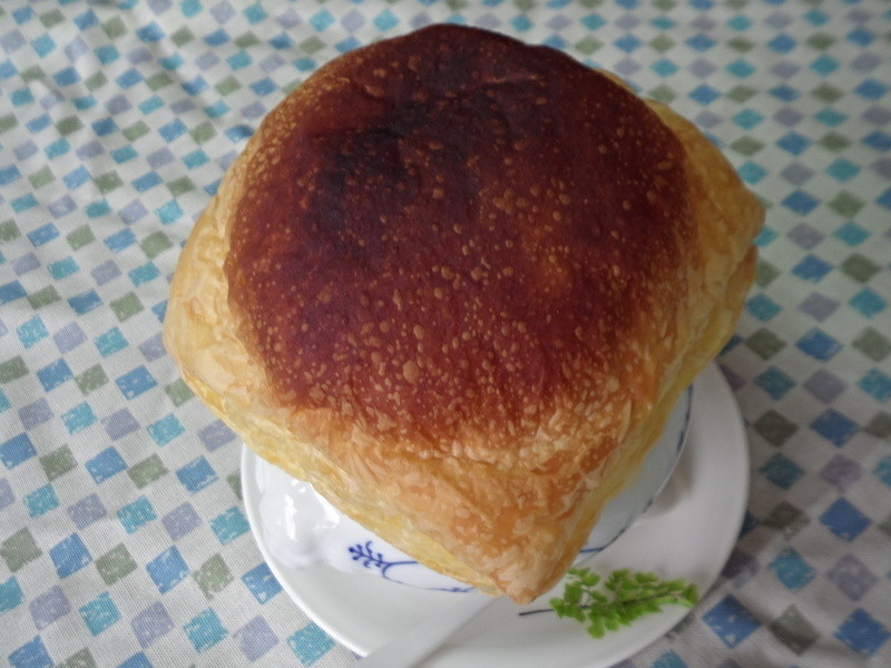 ��ƤŨ������������������������