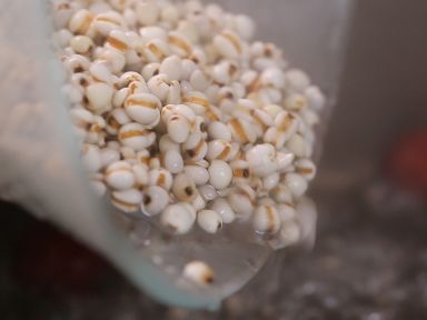 ޲�����׺����������