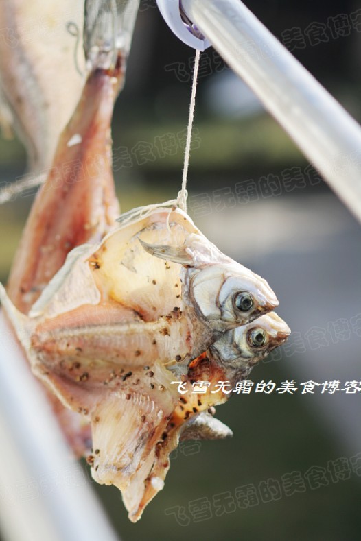 ������ɵ�����