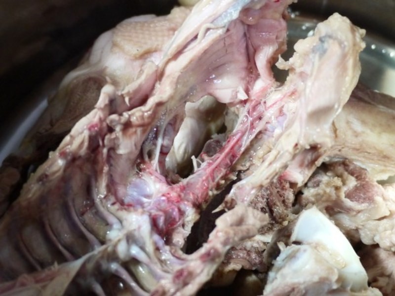 ���Ƹ���������