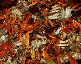 ����Ʈ��з������