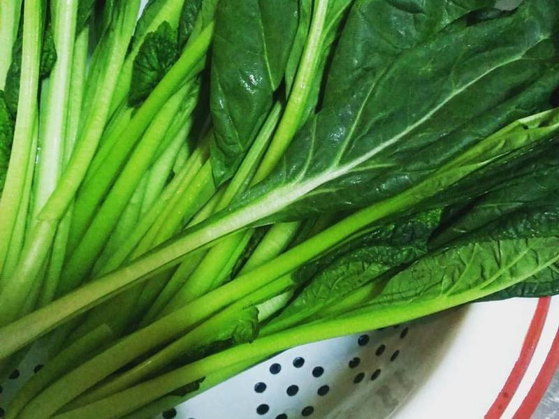 �Լ���ѩ�����˿����������