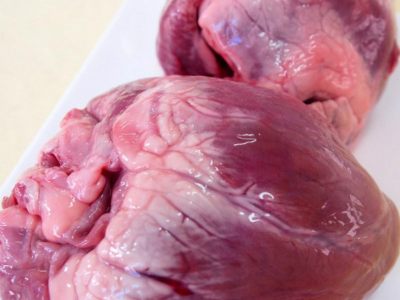 ʮȫ�������ĵ�����