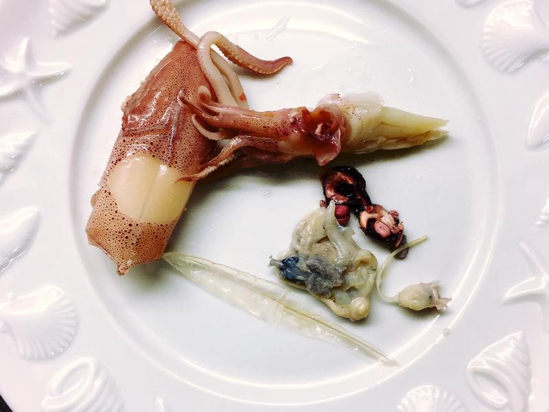 ����С�ܵ�����