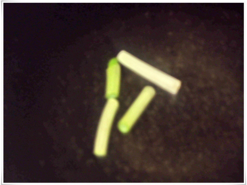 �����������ζ--˿�ϻ���������������