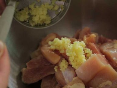 ��ʽ���뼦������