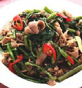 ɳ������Ƭ������