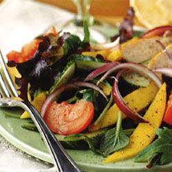 ����ɳ��������