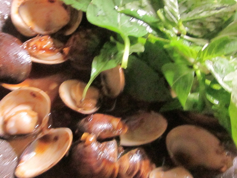 ����ը�������ۡ�ţͷ�ƶ������衻������