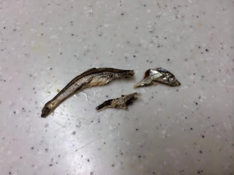 �ݲ˻ƶ�ѿ��������